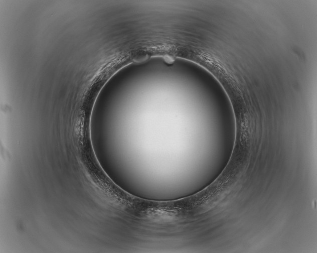 X0000091100739200708061419