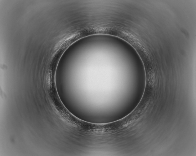 X0000091100740200708061419