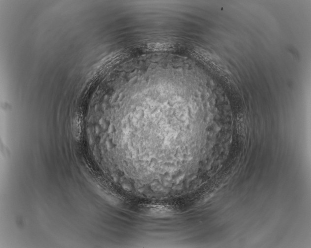 X0000091100741200708061419