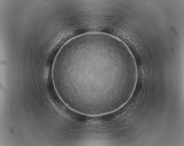 X0000091100742200708061419