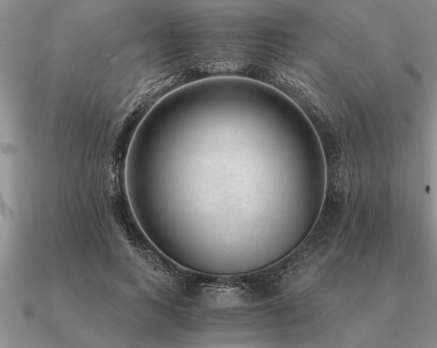 X0000091100743200708061419