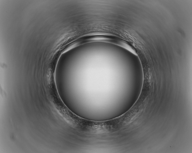 X0000091100744200708061419