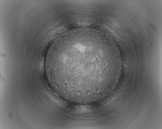 X0000091100745200708061419