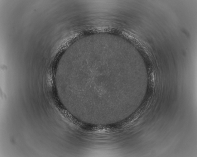 X0000091100746200708061419