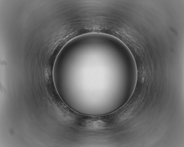 X0000091100747200708061419