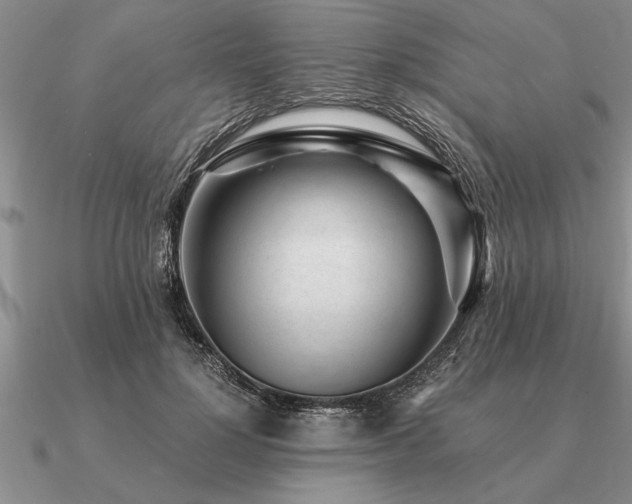 X0000091100748200708061419