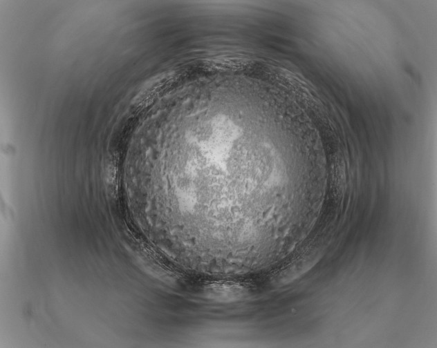 X0000091100749200708061419