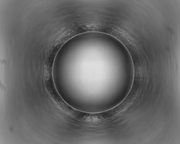 X0000091100751200708061419