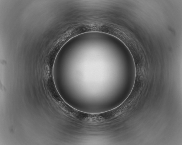 X0000091100752200708061419