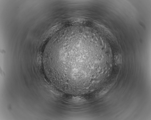 X0000091100753200708061419