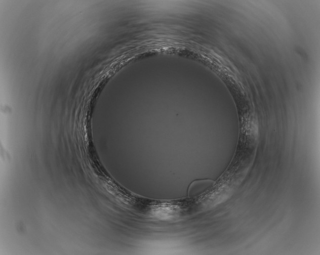 X0000091100754200708061419