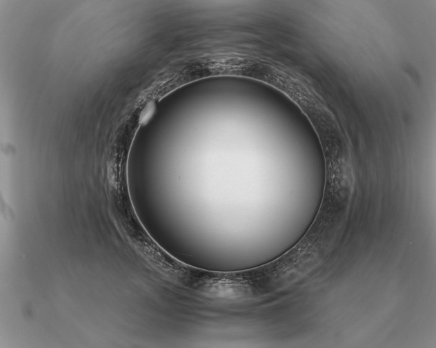 X0000091100755200708061419