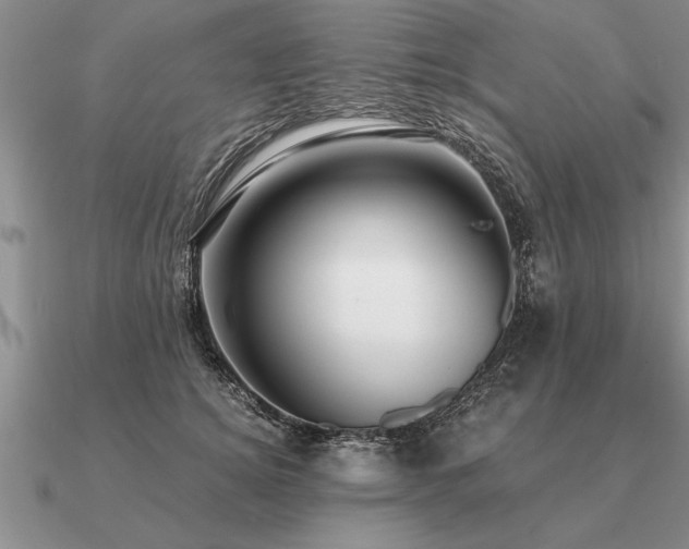 X0000091100756200708061419