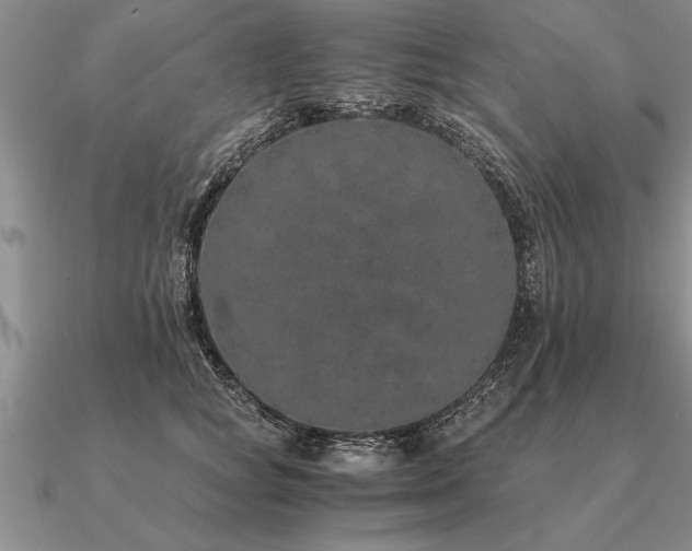 X0000091100757200708061419