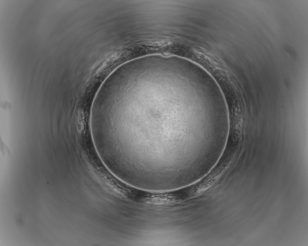 X0000091100758200708061419