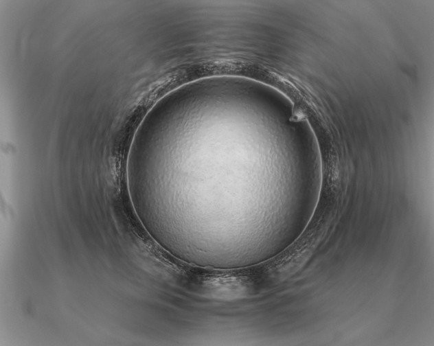 X0000091100759200708061419