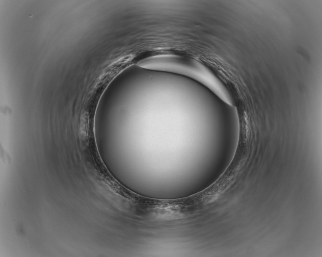 X0000091100760200708061420