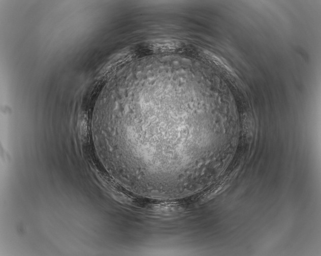 X0000091100761200708061420