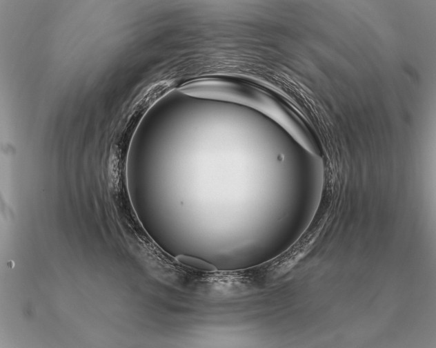 X0000091100762200708061420