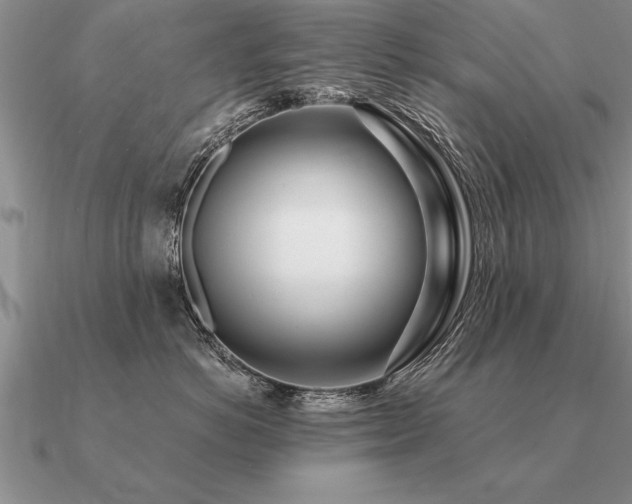 X0000091100766200708061420