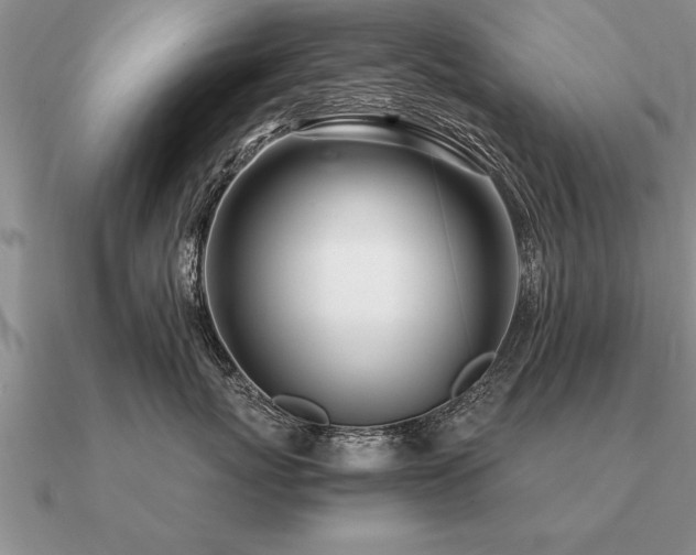 X0000091100767200708061420