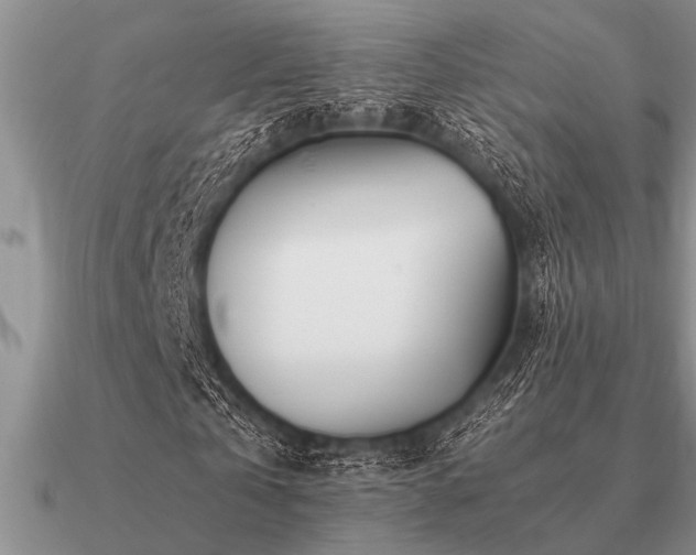 X0000091100769200708061419