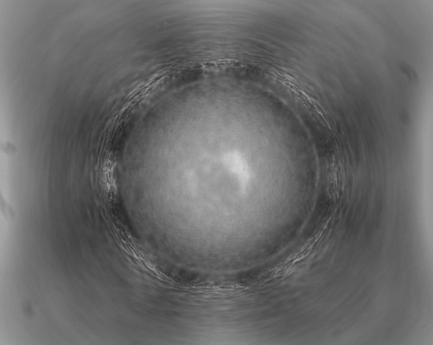 X0000091100770200708061419