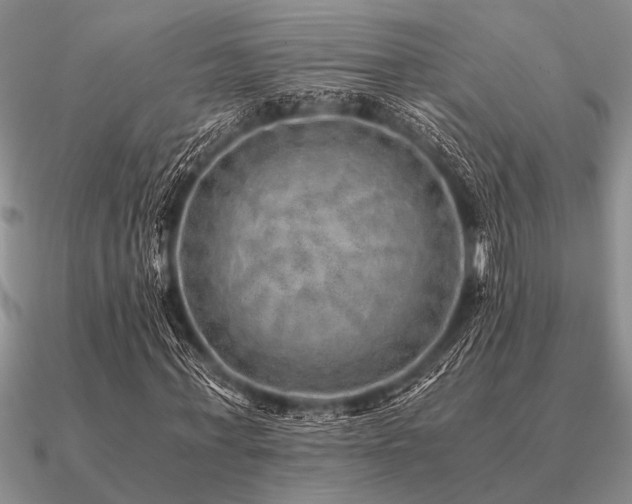 X0000091100771200708061419