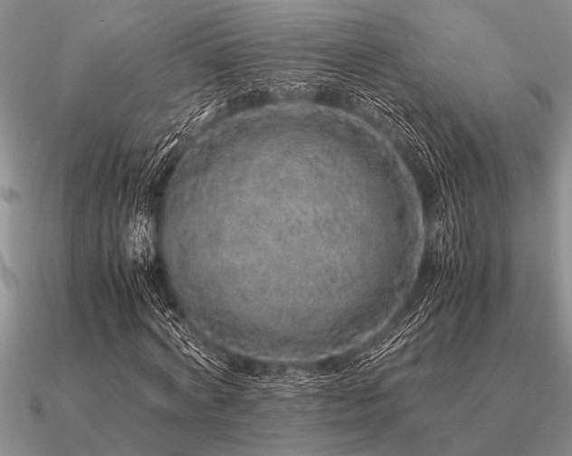 X0000091100772200708061419