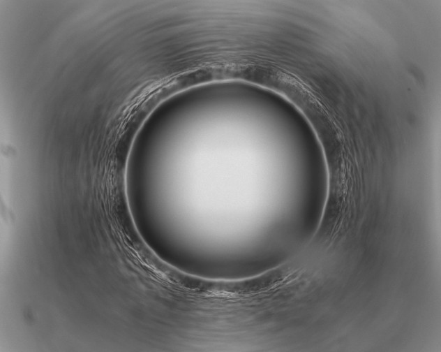 X0000091100773200708061419