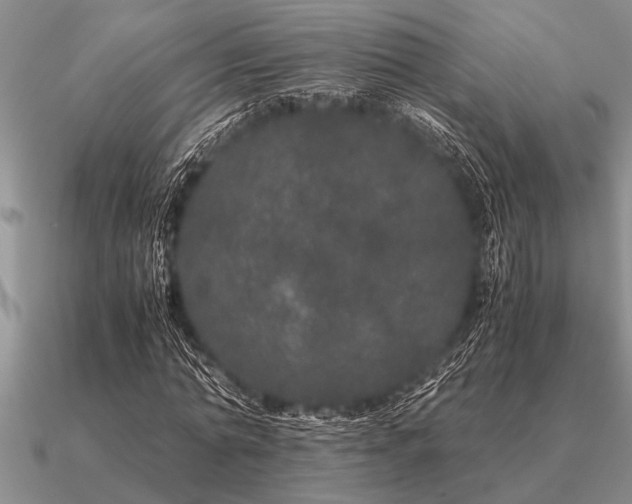 X0000091100774200708061419