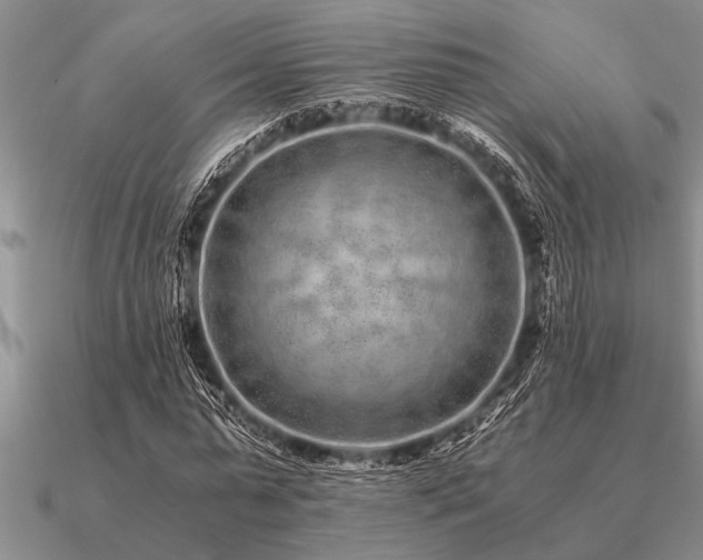 X0000091100775200708061419