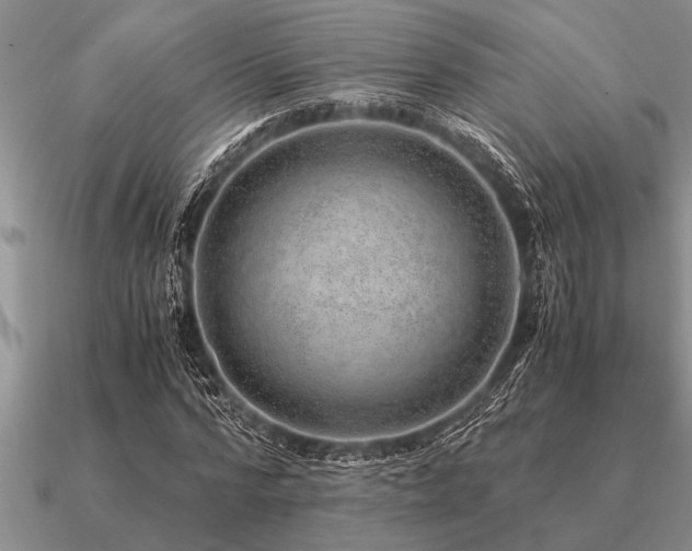 X0000091100776200708061419