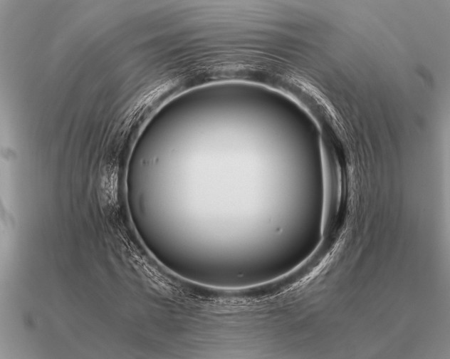 X0000091100777200708061419