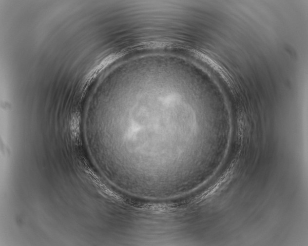 X0000091100778200708061419