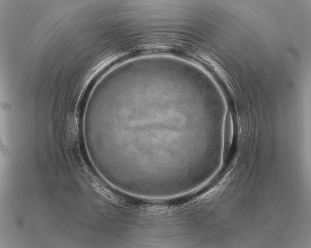 X0000091100779200708061419