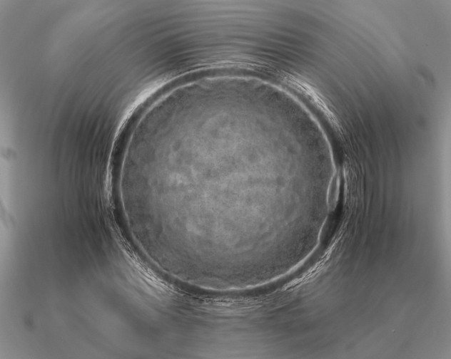 X0000091100780200708061419