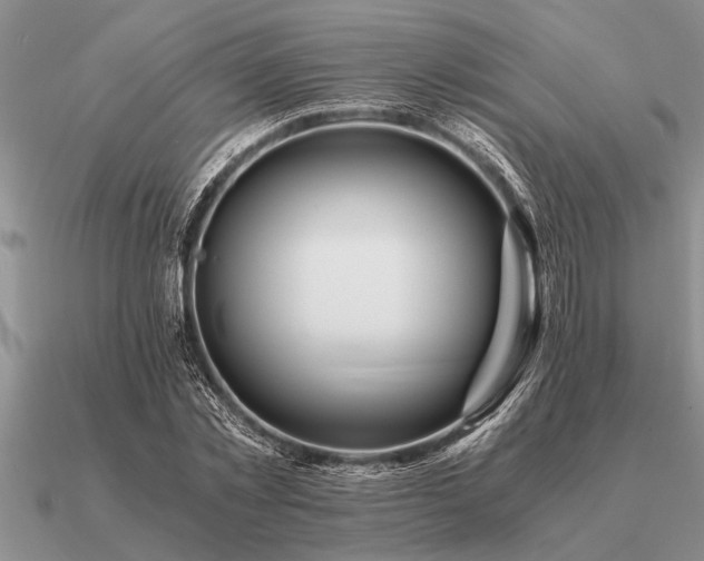 X0000091100781200708061419