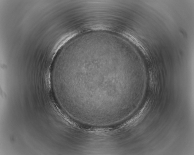 X0000091100782200708061419