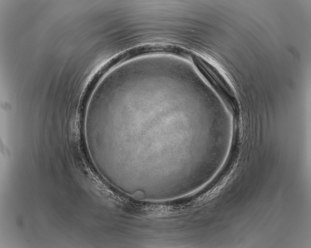 X0000091100783200708061419