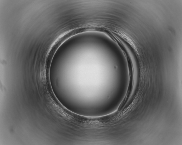 X0000091100784200708061419