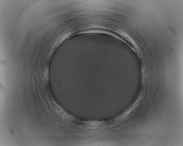 X0000091100785200708061419