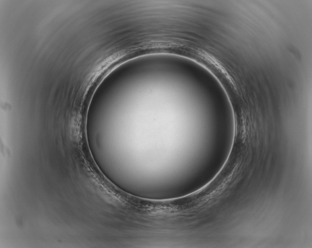 X0000091100786200708061419