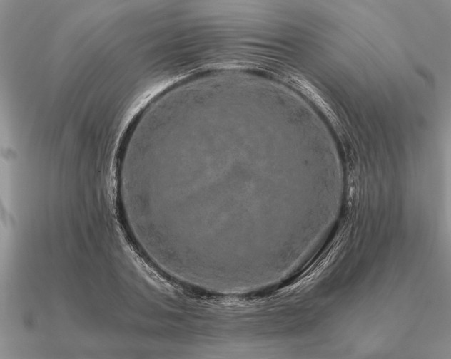 X0000091100787200708061419