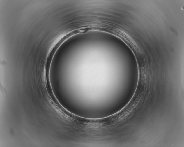 X0000091100788200708061419