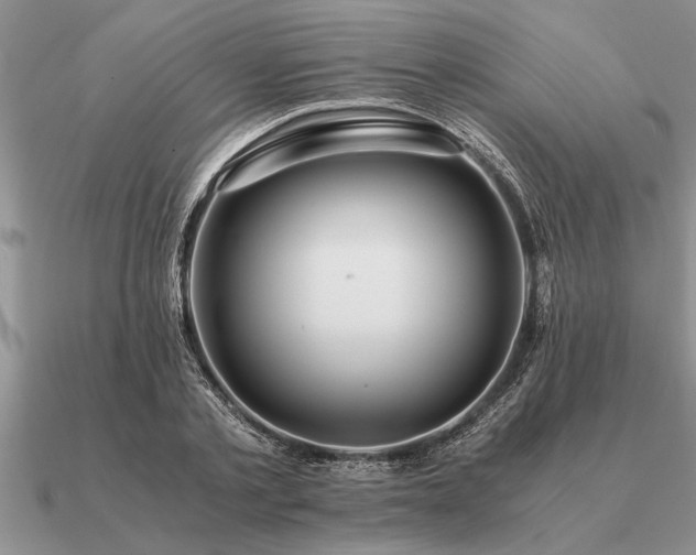 X0000091100789200708061419