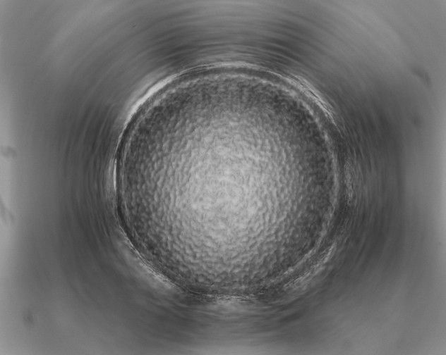 X0000091100790200708061419