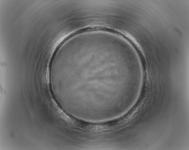 X0000091100791200708061419