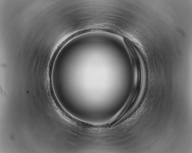 X0000091100792200708061419