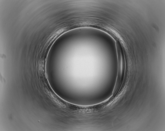 X0000091100793200708061419